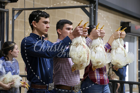 RCYPS26-Chicken-2439