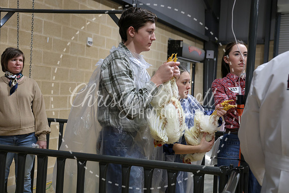 RCYPS26-Chicken-2441