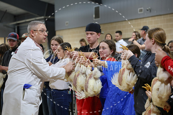 RCYPS26-Chicken-2444
