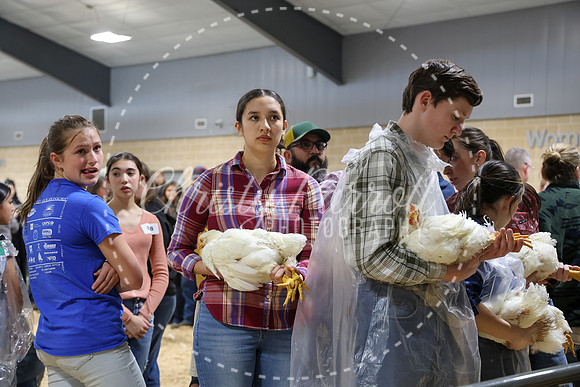 RCYPS26-Chicken-2442