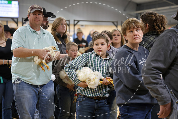 RCYPS26-Chicken-2443