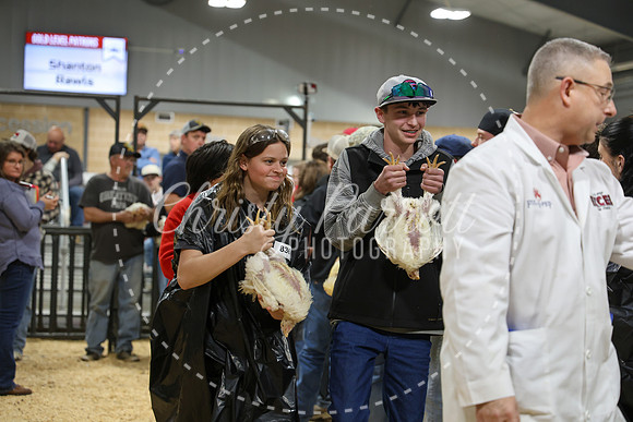 RCYPS26-Chicken-2448