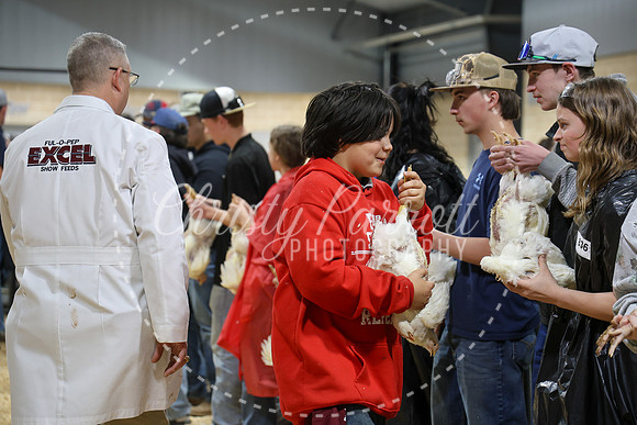 RCYPS26-Chicken-2449