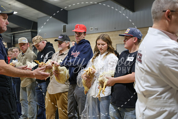 RCYPS26-Chicken-2463