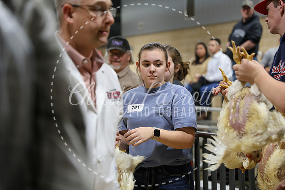 RCYPS26-Chicken-2469