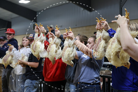 RCYPS26-Chicken-2471
