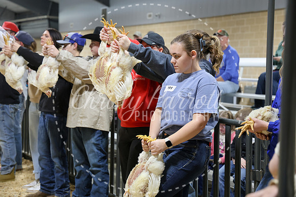 RCYPS26-Chicken-2476