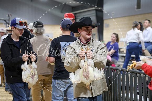 RCYPS26-Chicken-2475
