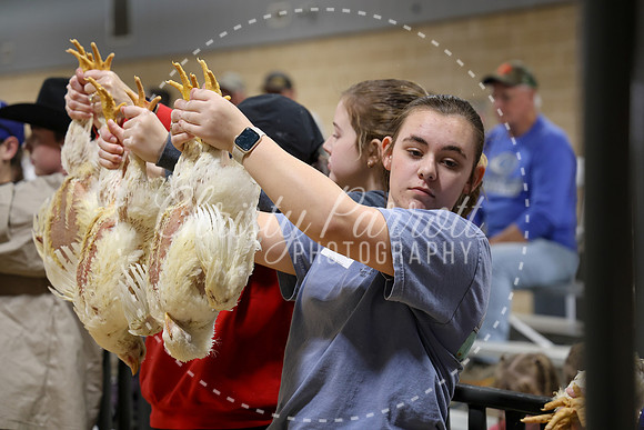 RCYPS26-Chicken-2477