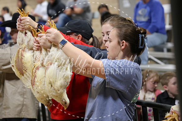 RCYPS26-Chicken-2478