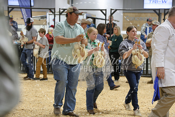 RCYPS26-Chicken-2481