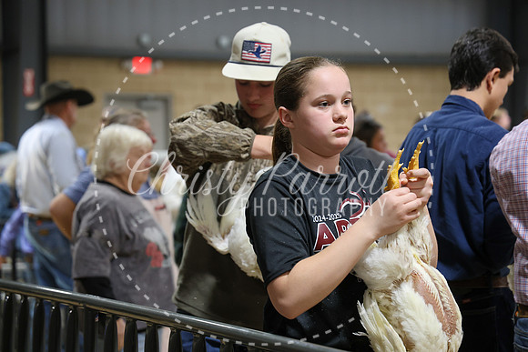 RCYPS26-Chicken-2485