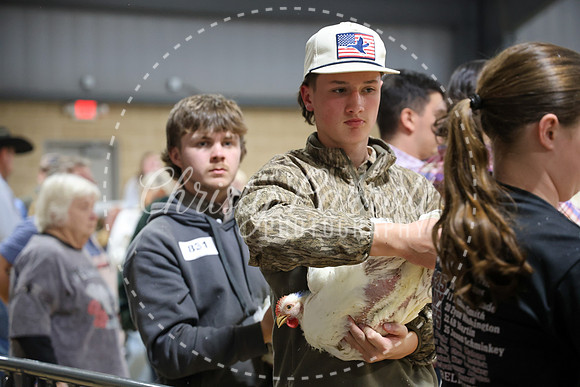 RCYPS26-Chicken-2486