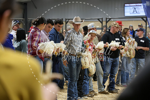 RCYPS26-Chicken-2492