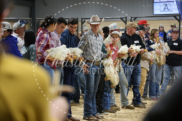 RCYPS26-Chicken-2493