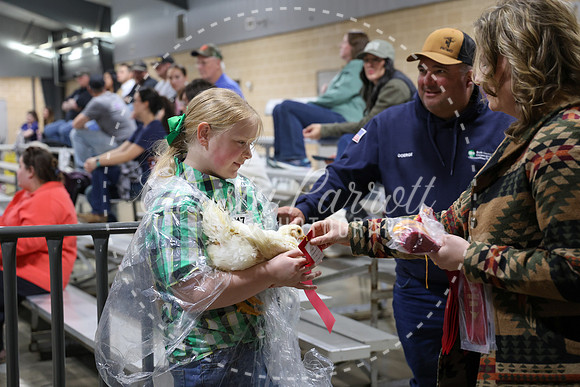 RCYPS26-Chicken-2501