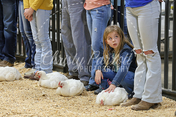 RCYPS26-Chicken-2508