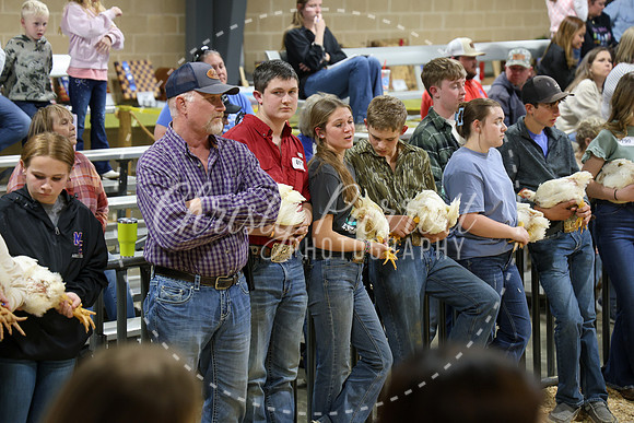 RCYPS26-Chicken-2516