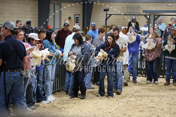 RCYPS26-Chicken-2524