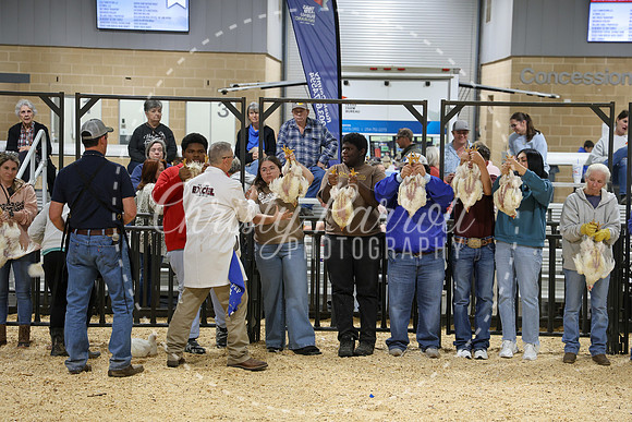RCYPS26-Chicken-2521
