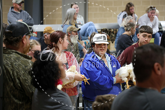 RCYPS26-Chicken-2527