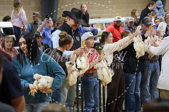 RCYPS26-Chicken-2526