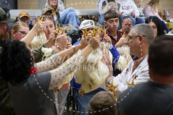 RCYPS26-Chicken-2529