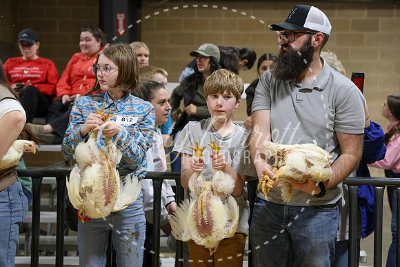 RCYPS26-Chicken-2535