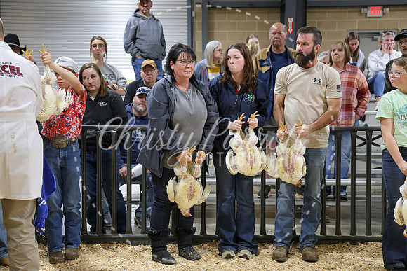 RCYPS26-Chicken-2538