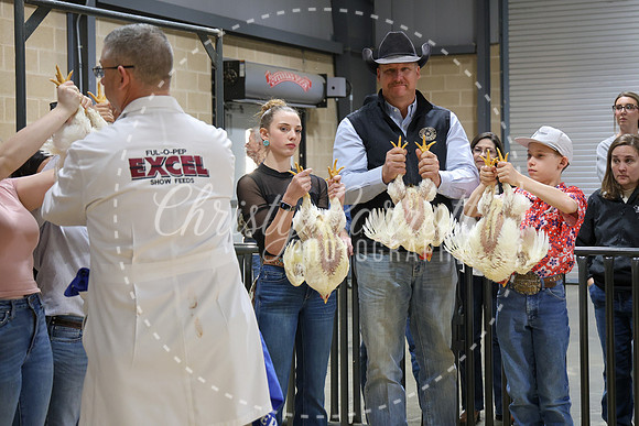 RCYPS26-Chicken-2539