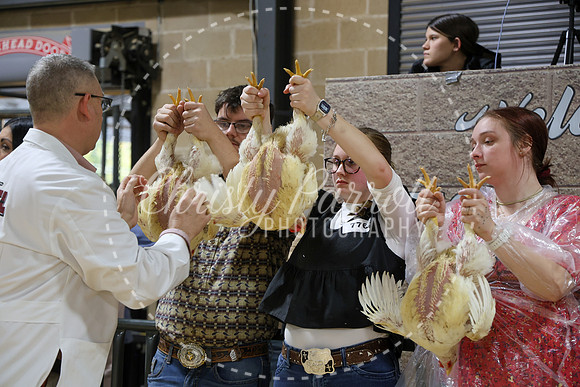 RCYPS26-Chicken-2541