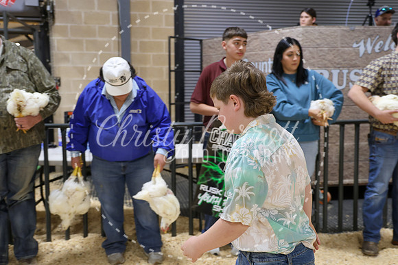 RCYPS26-Chicken-2581