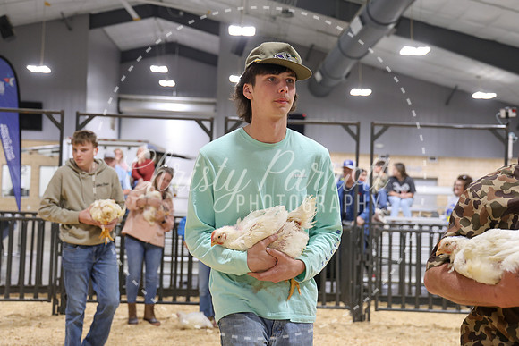 RCYPS26-Chicken-2586