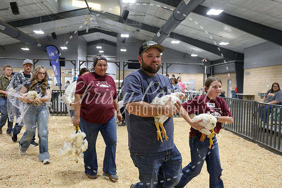 RCYPS26-Chicken-2588