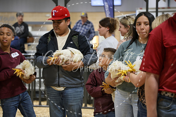 RCYPS26-Chicken-2592