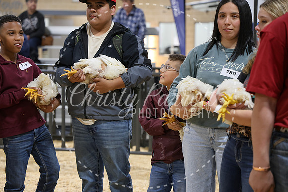 RCYPS26-Chicken-2591