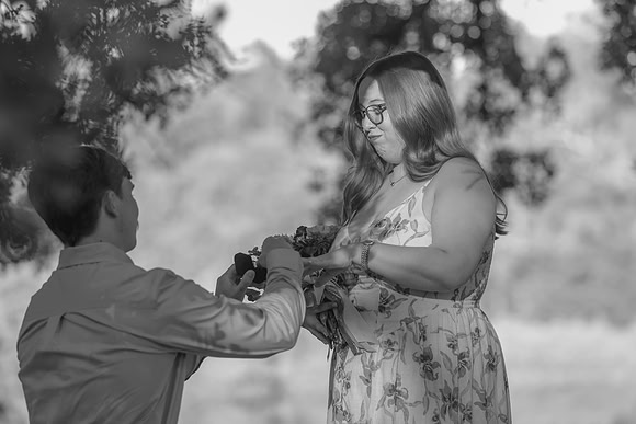 0A3A0862-1-bw