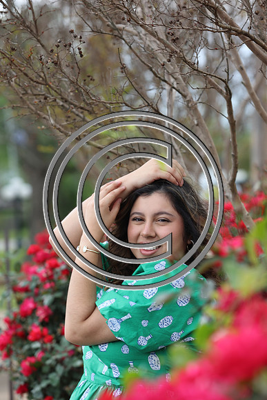 CPP_0225