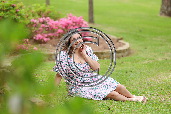 CPP_dianasp-0135