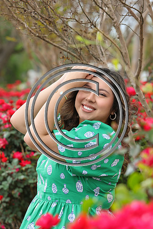 CPP_dianasp-0217pp