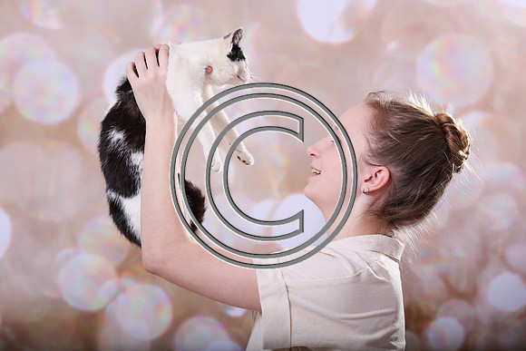 CPP_MMSR-8235pp
