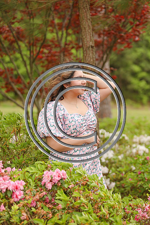 CPP_dianasp-0169pp