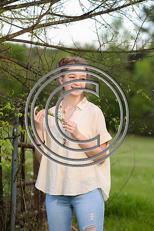 CPP_MMSR-8531