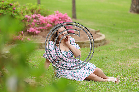 CPP_dianasp-0135pp
