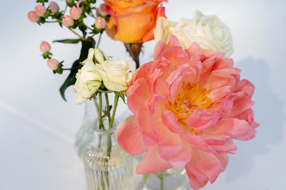 parrott wedding-03014