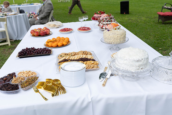 parrott wedding-9028