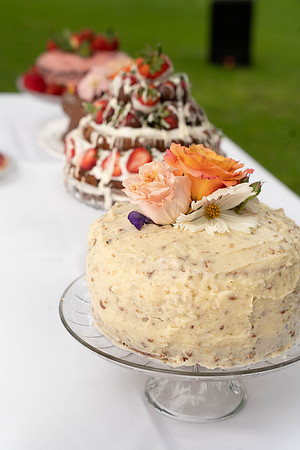 parrott wedding-03159