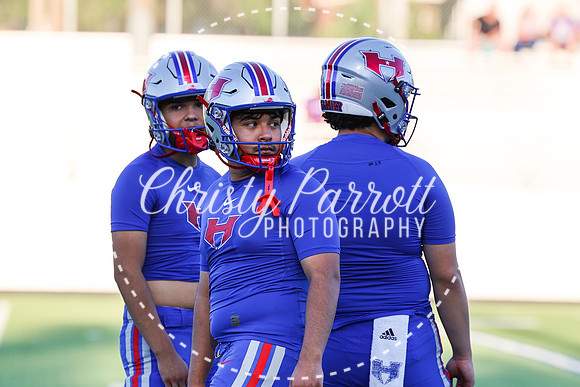 HHSFB9123-2619