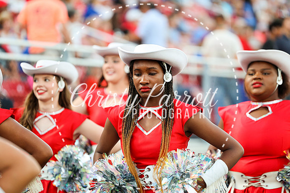 HHSFB9123-2811