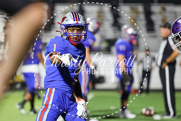 HHSFB9123-3022